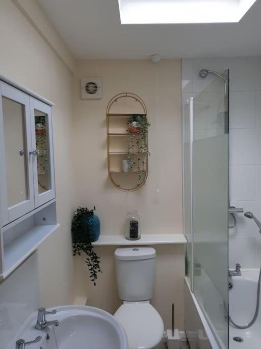 Two Bed Flat Sea View Old Town Hastings Lejlighed Eksteriør billede